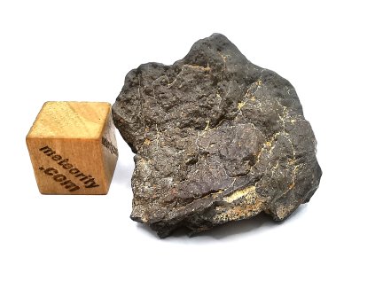 Meteorit NWA 16415 (CO3) / 15,7 gr.