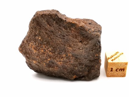 Meteorit NWA X 42,9 gr.