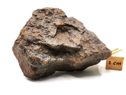 Meteorit NWA X 61,1 gr.