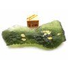 Vltavín / Moldavite 8,8 g