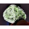 Vltavín / Moldavite 8,0 g