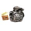 Meteorit Aletai 23,7 g
