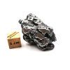 Meteorit Campo del Cielo  35,5 g