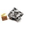 Meteorit Campo del Cielo  39,9 g