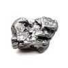 Meteorit Campo del Cielo  42,1 g