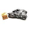 Meteorit Campo del Cielo  43,1 g