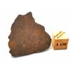 Meteorit NWA 17584 / Rumuruti R3-6 / 5 gr. / řez