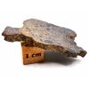 Lunární meteorit NEA 089 / 5,5 gr. / řez
