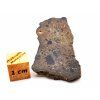 Lunární meteorit NEA 089 / 4,2 g / řez