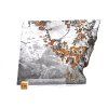 Meteorit Seymchan 240 g / řez