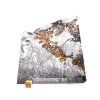 Meteorit Seymchan 240 g / řez