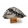 Meteorit Aletai 21,1 g
