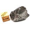 Meteorit Aletai 21,1 g