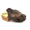 Meteorit BECHAR 008 / Howardit / 8,2 g