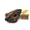 Meteorit BECHAR 008 / Howardit / 8,2 g
