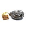 Meteorit Aletai 23,4 g