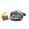 Meteorit Aletai 23,4 g