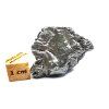Meteorit Aletai 26,9 g