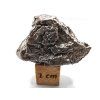 Meteorit Aletai 27,8 g