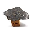 Meteorit NWA X (L3) 7,0 g / koncový řez