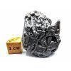 Meteorit Campo del Cielo  46,3 g