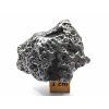 Meteorit Campo del Cielo  41,0 g