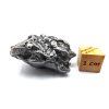Meteorit Campo del Cielo  41,0 g