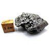 Meteorit Campo del Cielo  41,8 g