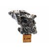 Meteorit Campo del Cielo  45,4 g