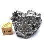 Meteorit Campo del Cielo  43,8 g