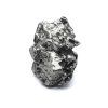Meteorit Campo del Cielo  44,8 g