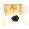 Meteorit Sericho 26,4 g / koncový řez