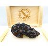 Meteorit Sericho 48,8 g / koncový řez