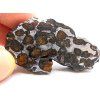 Meteorit Sericho 48,8 g / koncový řez