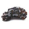 Meteorit Sericho 34 g / koncový řez