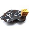 Meteorit Sericho 41,2 g / koncový řez