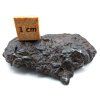 Meteorit Sericho 36,9 g / koncový řez