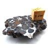 Meteorit Sericho 36,9 g / koncový řez