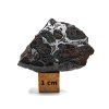 Meteorit Sericho 17,5 g / koncový řez