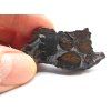 Meteorit Sericho 30,8 g / koncový řez