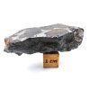 Meteorit Sericho 30,8 g / koncový řez