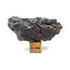 Meteorit Sericho 30,8 g / koncový řez