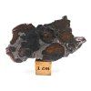Meteorit Sericho 30,8 g / koncový řez