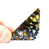 Meteorit Seymchan 9,8 gr. / řez