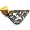 Meteorit Seymchan 7,9 gr. / řez