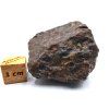 Meteorit NWA X 55,7 g