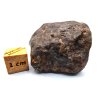 Meteorit NWA X 55,7 gr.