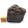 Meteorit NWA X 55,7 g