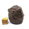 Meteorit NWA X 55,7 g