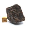 Meteorit NWA X 55,7 gr.